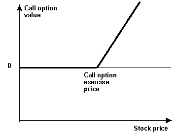 calculate intrinsic value of a call option